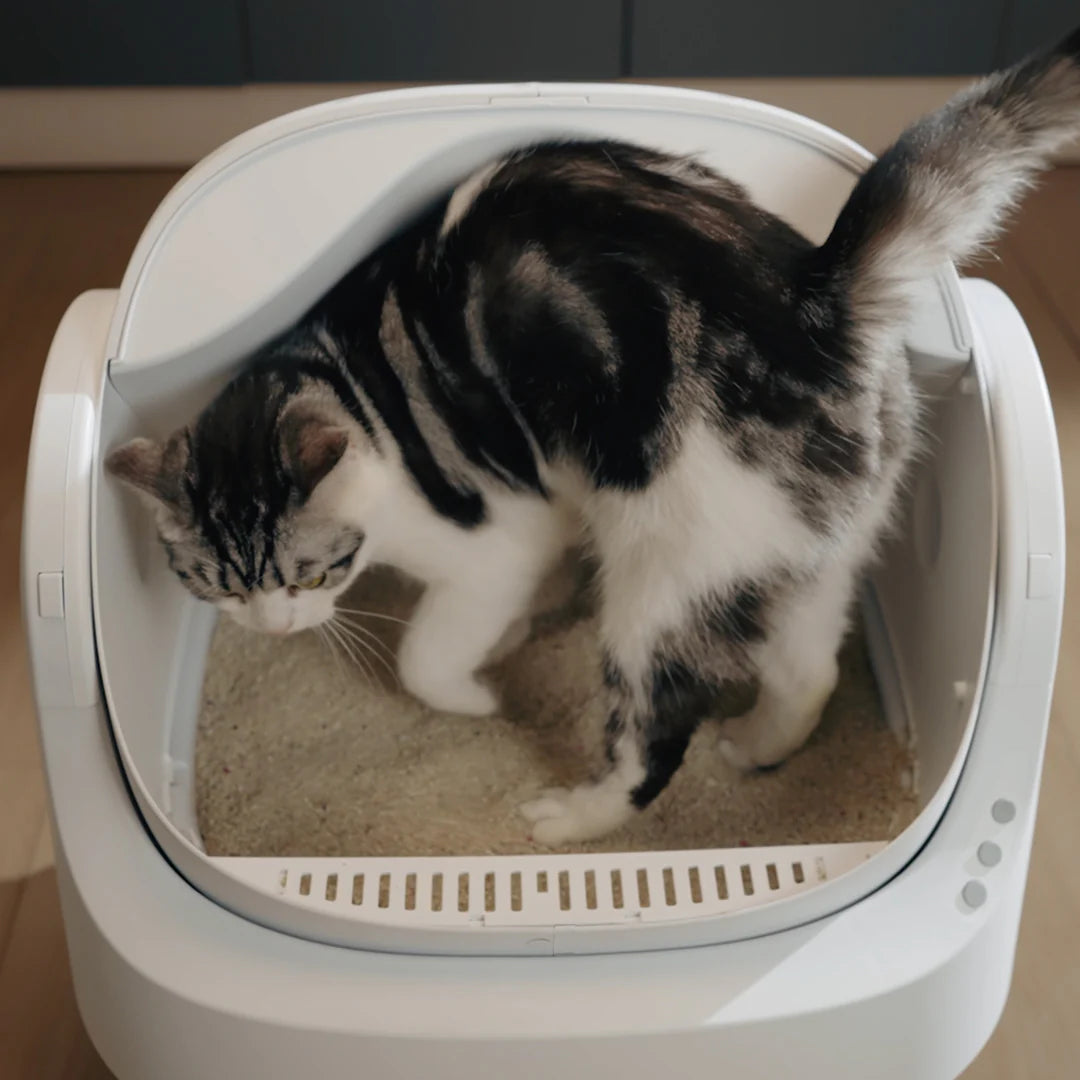 PetPivot™ Auto Scooper Pet Sitter