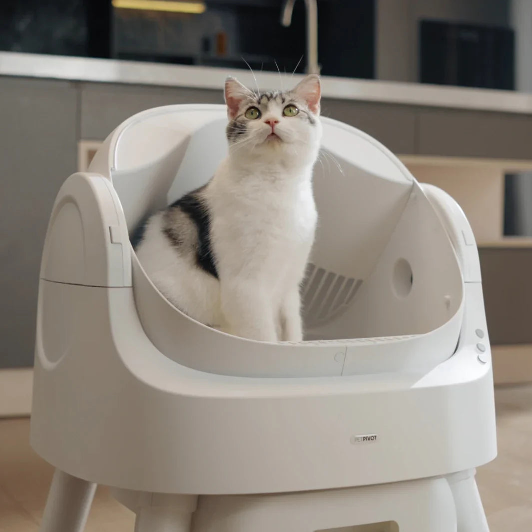 PetPivot™ Auto Scooper Pet Sitter